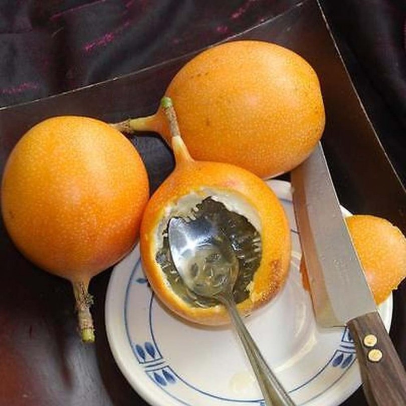 Édes granadilla - Különleges gyümölcstermők az Egzotikus Növények Stúdiója kínálatából